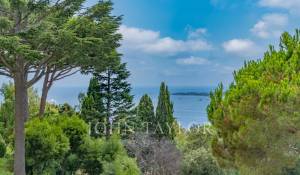 Venda Apartamento Cannes