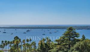 Venda Apartamento Cannes
