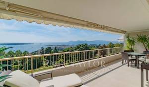 Venda Apartamento Cannes