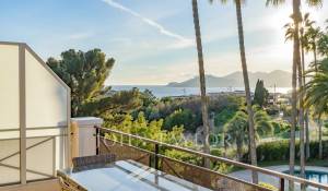 Venda Apartamento Cannes