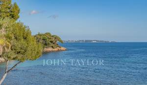 Venda Apartamento Cannes