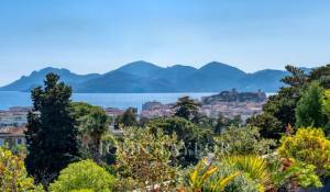 Venda Apartamento Cannes