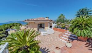 Venda Apartamento Cannes