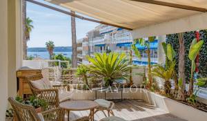 Venda Apartamento Cannes