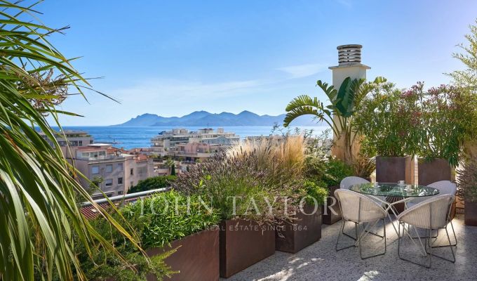 Venda Apartamento Cannes