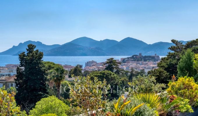 Venda Apartamento Cannes