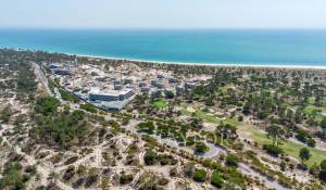 Venda Apartamento Carvalhal