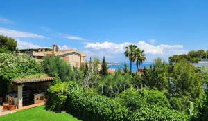 Venda Apartamento Cas Català