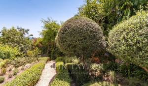 Venda Apartamento Cas Català