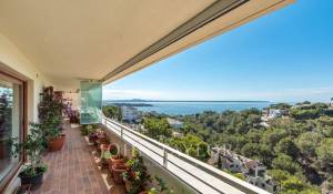 Venda Apartamento Cas Català