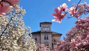 Venda Apartamento Milano