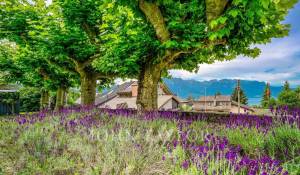 Venda Apartamento Montreux