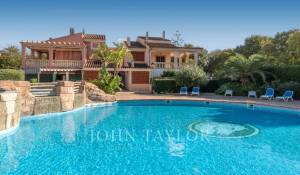 Venda Apartamento Palmanova