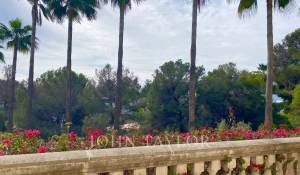 Venda Apartamento Portals Nous