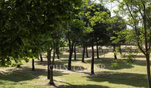 Venda Apartamento Pozuelo de Alarcón