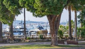 Venda Apartamento villa Cannes
