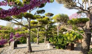 Venda Bastide Bonnieux