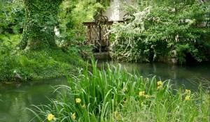 Venda Bastide L'Isle-sur-la-Sorgue