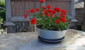 Venda Casa de campo Lugo