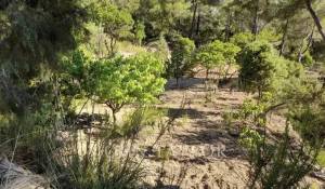 Venda Casa de campo Santa Eularia des Riu