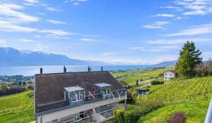 Venda Casa geminada Blonay-Saint-Légier