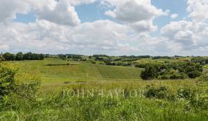 Venda Castelo Bordeaux