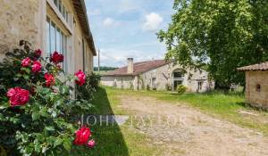 Venda Castelo Bordeaux
