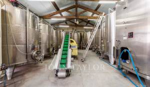 Venda Castelo Bordeaux