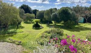 Venda Quinta/Herdade Alaior