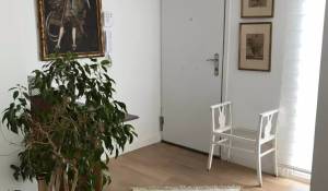 Venda Quinta/Herdade Mahón