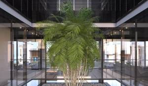 Venda Quinta/Herdade Marbella