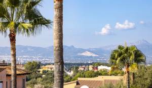 Venda Quinta/Herdade Marratxi