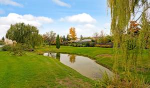 Venda Quinta/Herdade Pozuelo de Alarcón