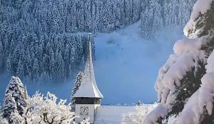 Venda Quinta/Herdade Rougemont