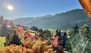 Venda Quinta/Herdade Saanen