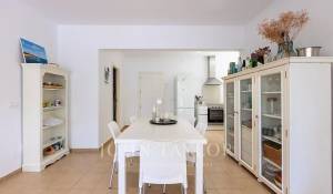 Venda Quinta/Herdade Son Parc