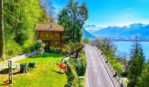 Venda Quinta/Herdade Territet