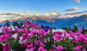 Venda Duplex Crans-Montana