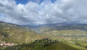 Venda Quinta Cambres