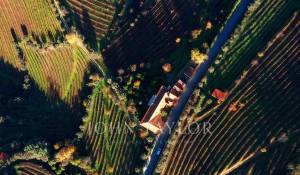 Venda Quinta Cambres