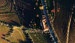 Venda Quinta Cambres