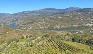 Venda Quinta Cambres