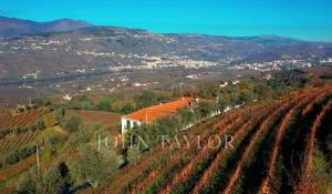 Venda Quinta Cambres