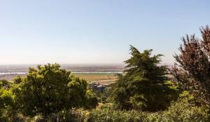 Venda Quinta Vila Franca de Xira