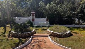 Venda Hospedagem domiciliar Mahón