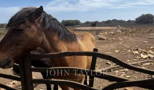 Venda Hospedagem domiciliar Mahón