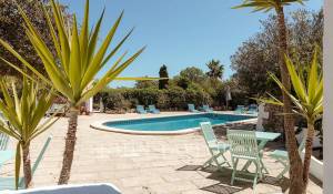 Venda Hospedagem domiciliar Mahón