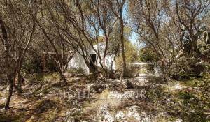 Venda Hospedagem domiciliar Mahón