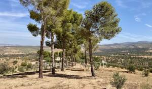 Venda Mansão Marrakech