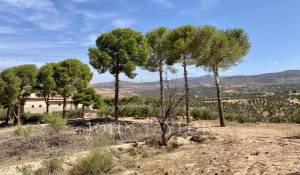 Venda Mansão Marrakech